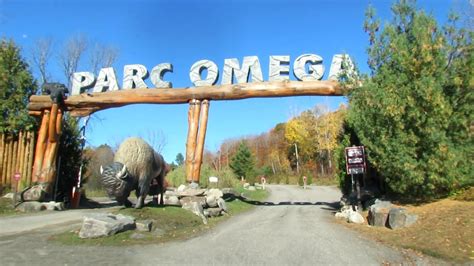 parque omega en canada|parc omega en voiture.